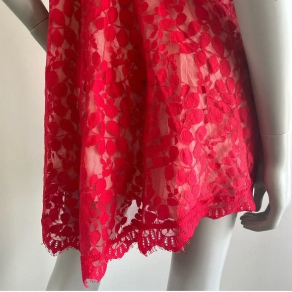 FREE PEOPLE| FLORAL MESH LACE DRESS - Picture 10 of 15